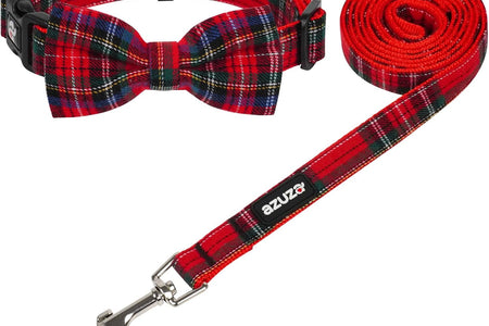Christmas Buffalo Dog Collar and Leash Set, Classic Plaid Collar with Removable Bowtie and Matching Leash for Large Dogs