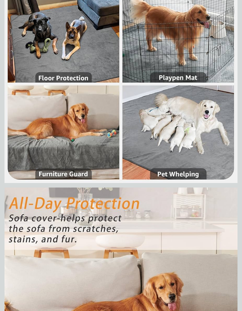 Load image into Gallery viewer, Reusable Dog Pee Pads - Dogs Waterproof Training Pads - Washable &amp; Sanitary - Rounded Corners - Laminated, Lightweight, Durable - Pet Essentials Puppy Training, Whelping - 60" X 60"
