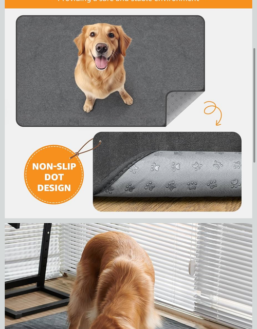 Load image into Gallery viewer, Reusable Dog Pee Pads - Dogs Waterproof Training Pads - Washable &amp; Sanitary - Rounded Corners - Laminated, Lightweight, Durable - Pet Essentials Puppy Training, Whelping - 60" X 60"

