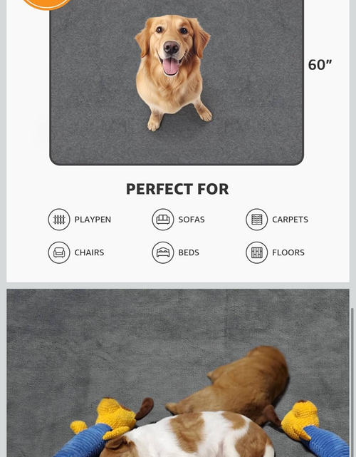 Load image into Gallery viewer, Reusable Dog Pee Pads - Dogs Waterproof Training Pads - Washable &amp; Sanitary - Rounded Corners - Laminated, Lightweight, Durable - Pet Essentials Puppy Training, Whelping - 60" X 60"
