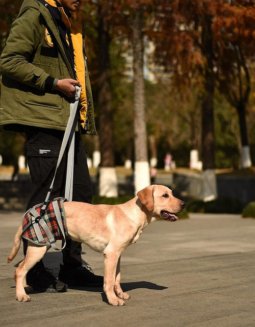 Load image into Gallery viewer, Dog Lift Harness, Grid Pet Rear Support Aid Veterinarian Approved Sling for Old K9 Help with Poor Stability, Back Leg Hip Disabled Joint Injury Elderly Arthritis ACL Rehabilitation Rehab

