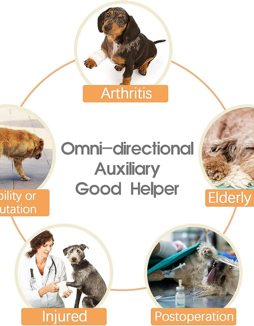 Load image into Gallery viewer, Dog Lift Harness, Grid Pet Rear Support Aid Veterinarian Approved Sling for Old K9 Help with Poor Stability, Back Leg Hip Disabled Joint Injury Elderly Arthritis ACL Rehabilitation Rehab

